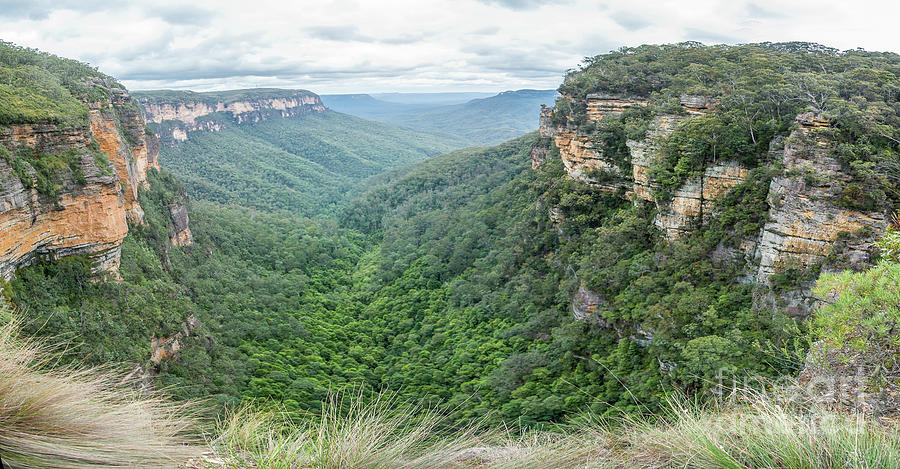 Blue Mountains 2 Photograph by Werner Padarin