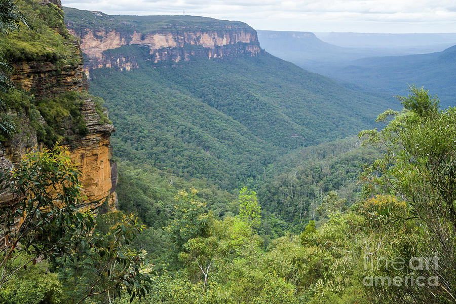 Blue Mountains Photograph by Werner Padarin