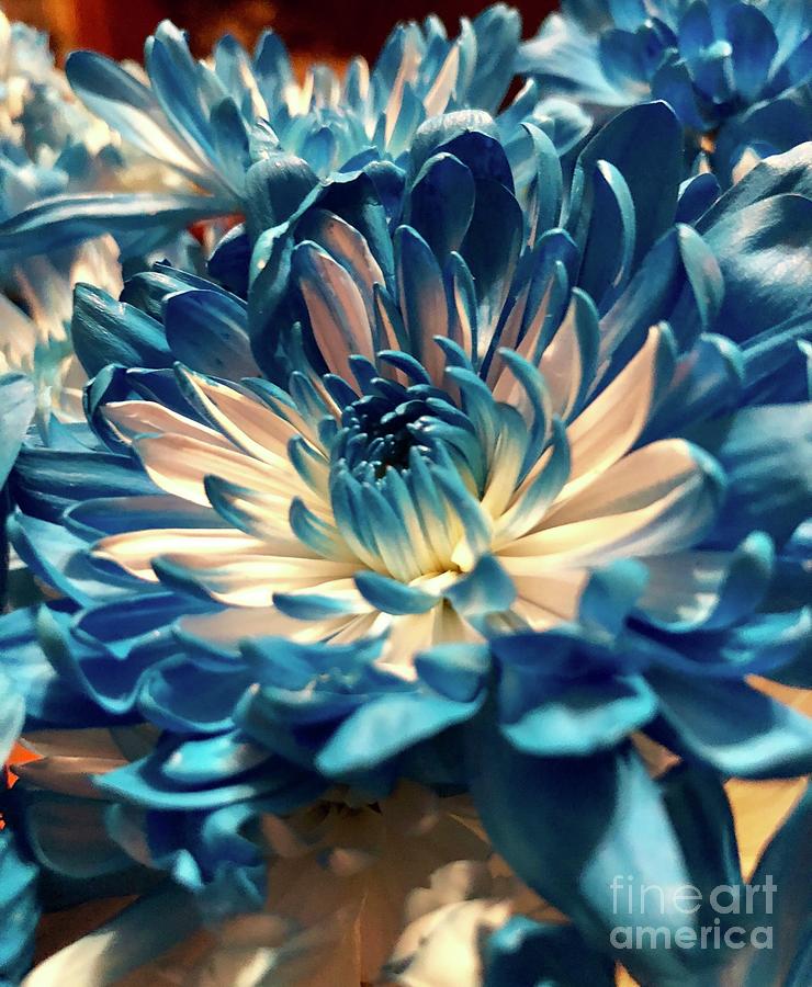 Blue Mum Photograph by CAC Graphics