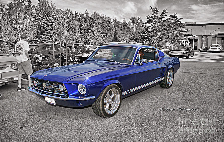 Blue Mustang Photograph by Randy Harris