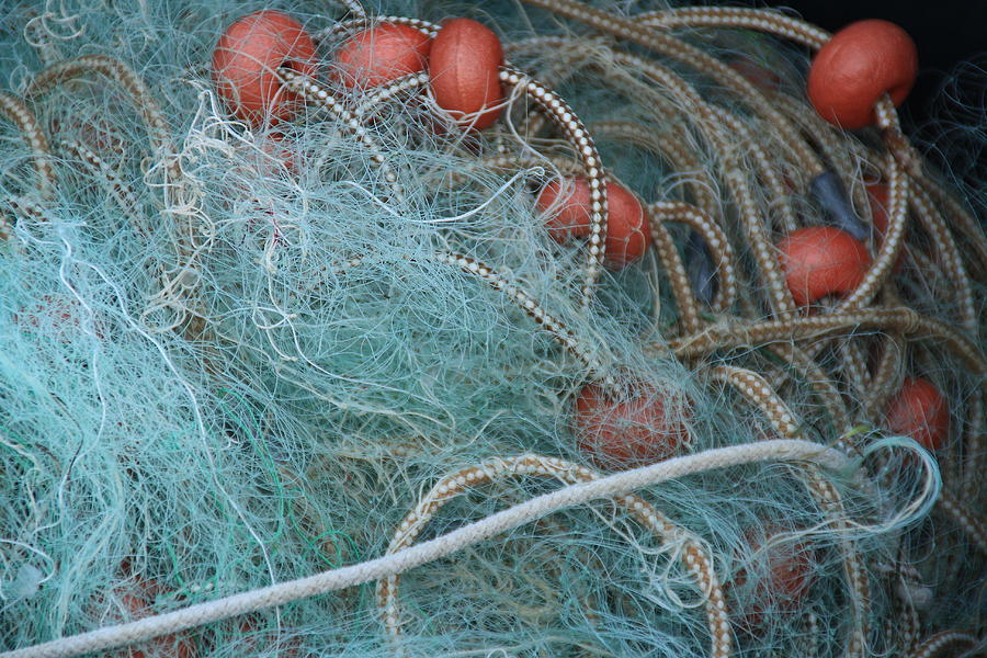 Fishing Photograph - Blue Net by Michael Henderson