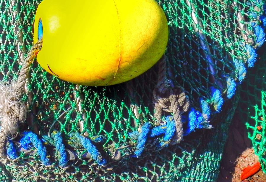 Blue Net with Yellow Float Photograph by Patricia Greer