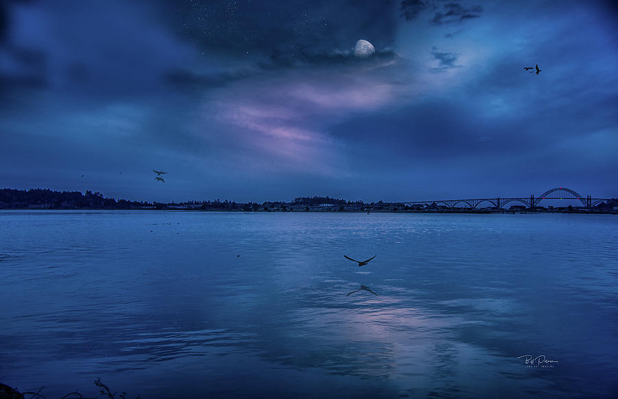 Blue Night Photograph by Bill Posner