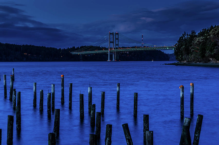 Blue Nights Photograph by Marcus Crockett - Fine Art America