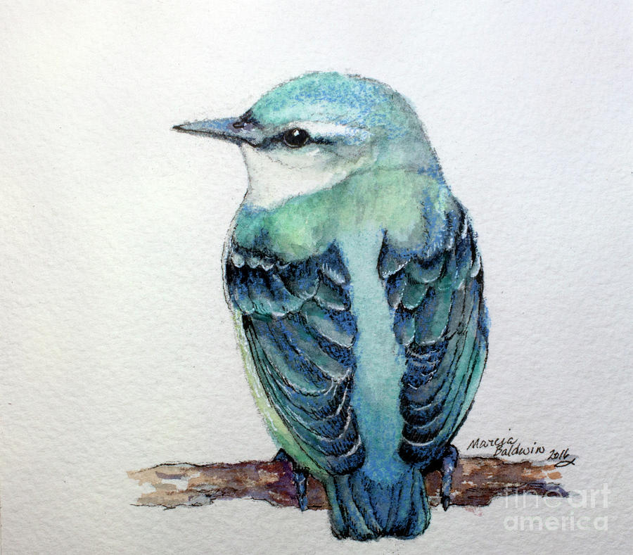 Blue Nuthatch Painting by Marcia Baldwin