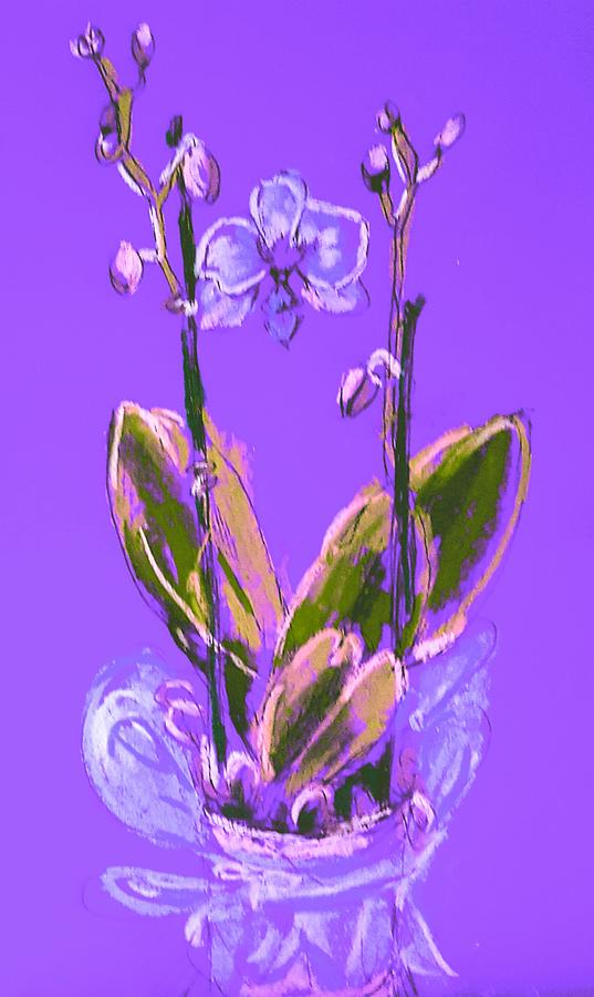 Blue orchid  Drawing by Hae Kim