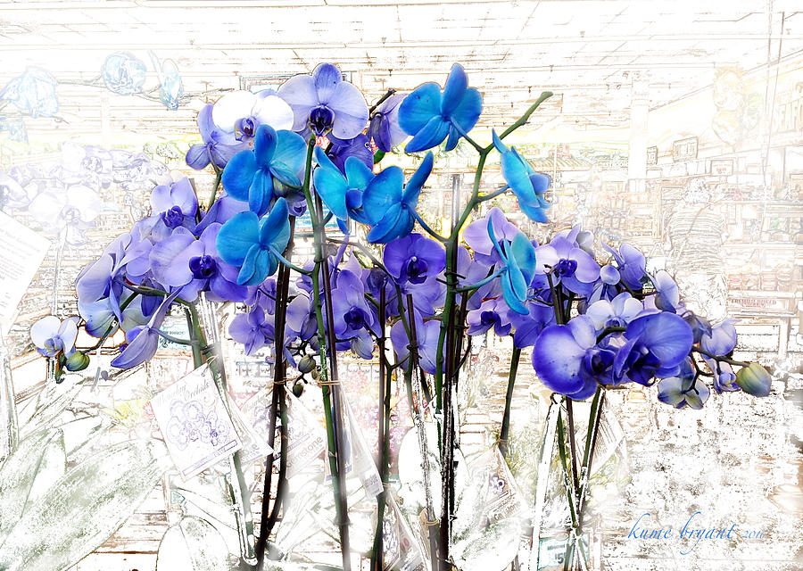 Blue Orchids 3 Mixed Media by Kume Bryant