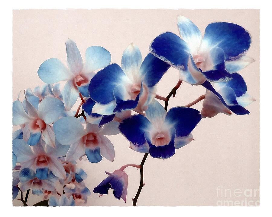 Orchid Mixed Media - Blue Orchids by Patricia Strand