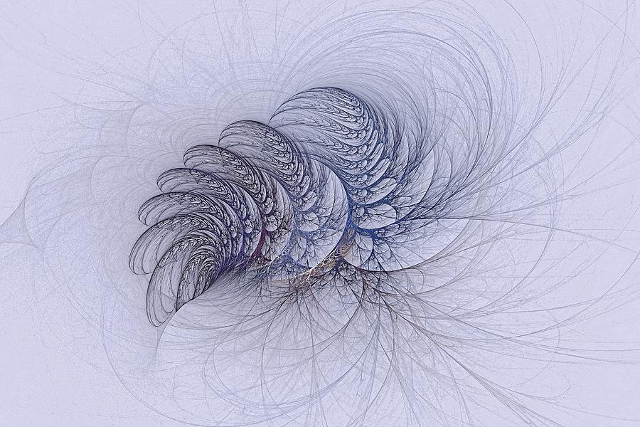 Blue Pagliai Ferns Digital Art by Doug Morgan