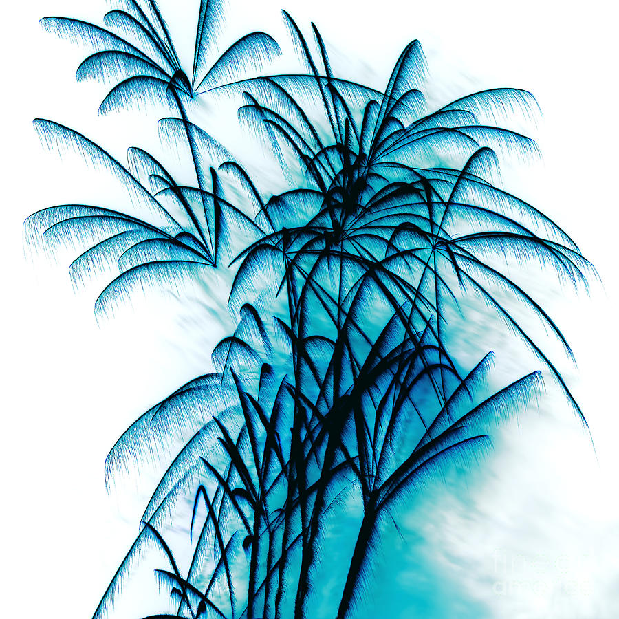 Fireworks Photograph - Blue Palm Fireworks by Kaye Menner by Kaye Menner
