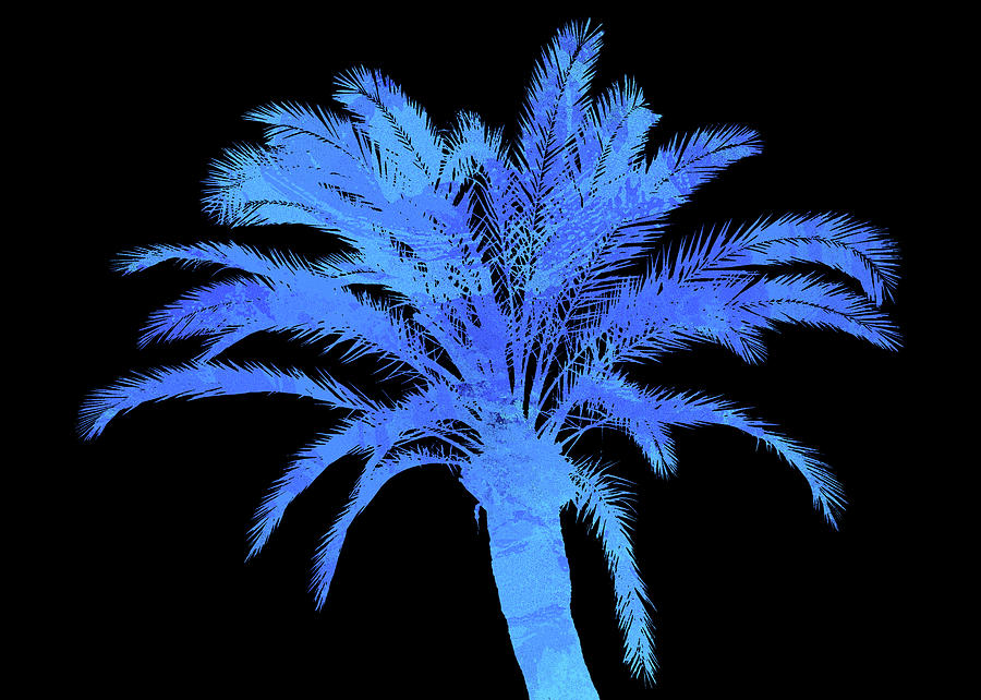 Blue Palm Tree Photograph by AM FineArtPrints
