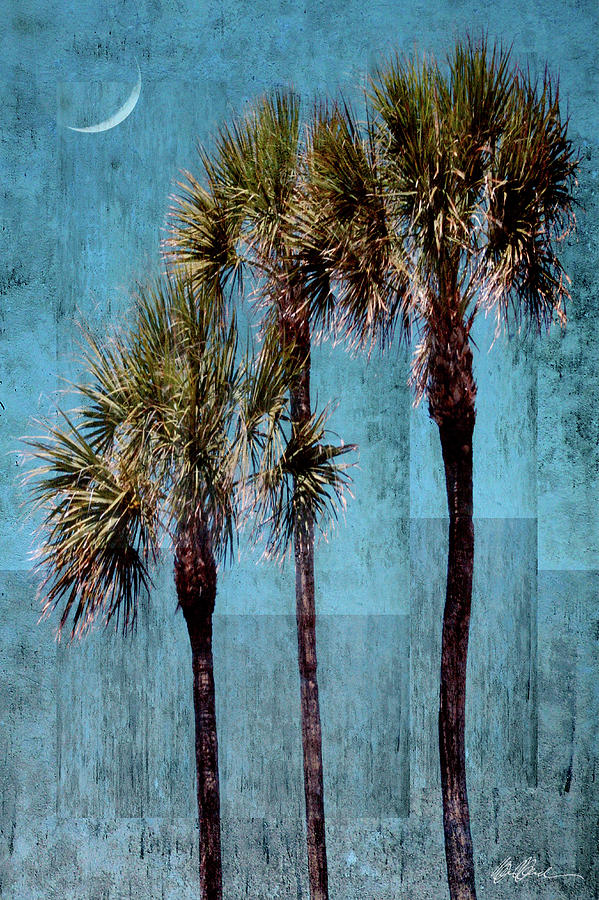 Blue Palms And Crescent Moon Digital Art