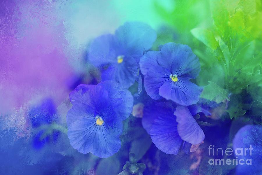 Flower Photograph - Blue Pansies by Eva Lechner