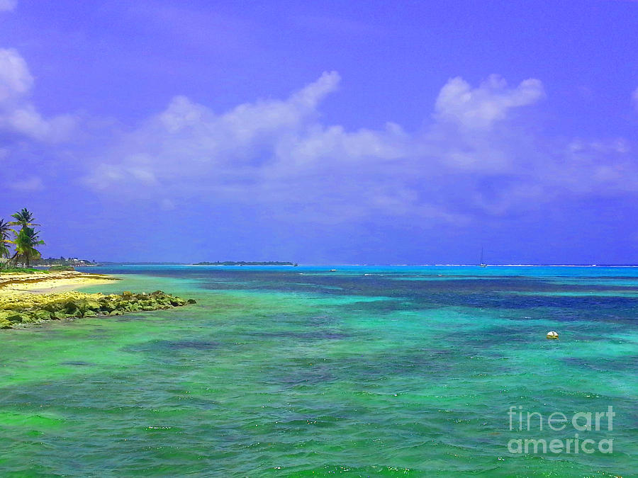 Blue Paradise Photograph by Jerome Wilson