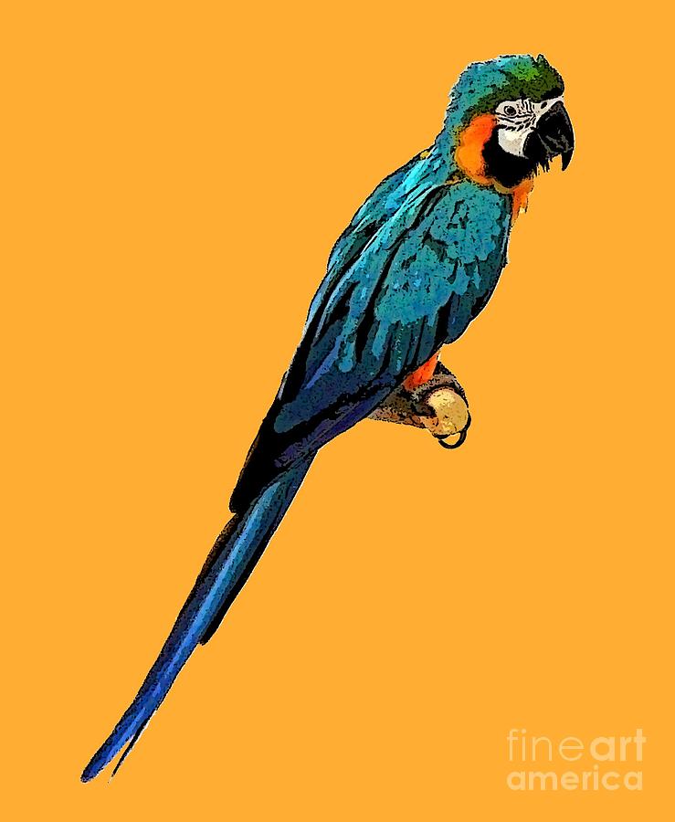Blue Parrot Art Digital Art by Francesca Mackenney
