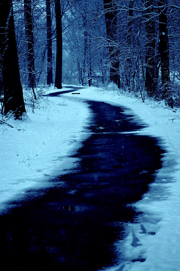 Blue Pathway Photograph by Jacob Folger