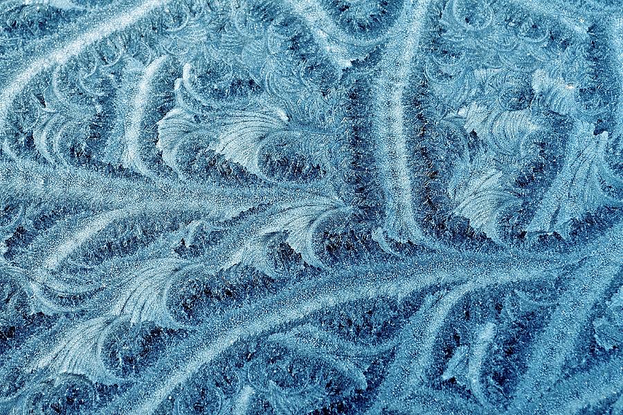 Extraordinary Hoarfrost Scallop Patterns in Blue Photograph by Kim Bemis