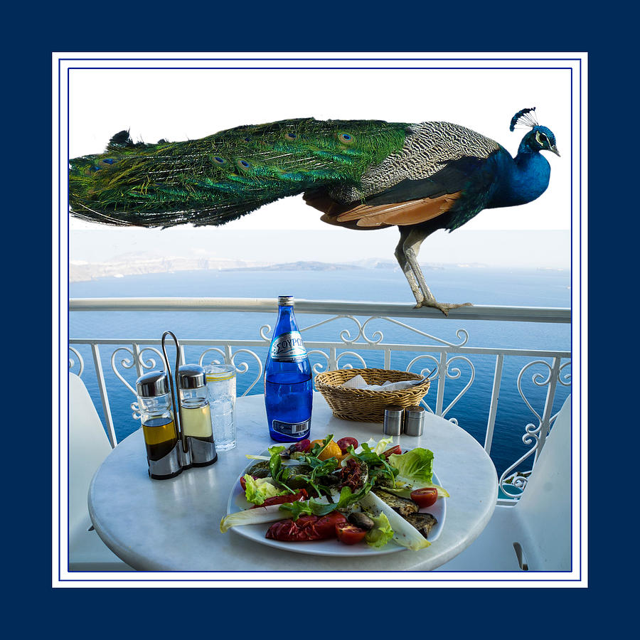 Peacock Digital Art - Blue Peacock Dining on the Mediterranean Sea by Aisha Abdelhamid