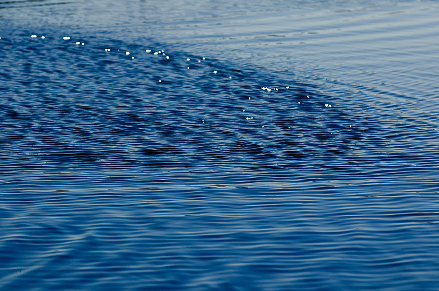 Abstract Photograph - Blue Period by Louis Dallara
