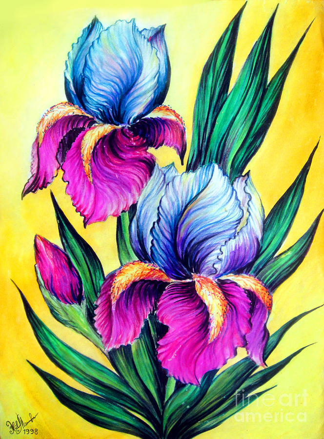 Bluepink bicolor irises Painting by Sofia Goldberg Pixels