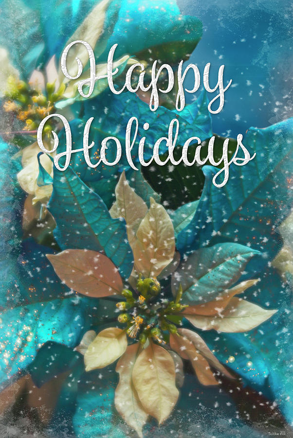 Blue Poinsettia - Happy Holidays Photograph by Teresa Wilson