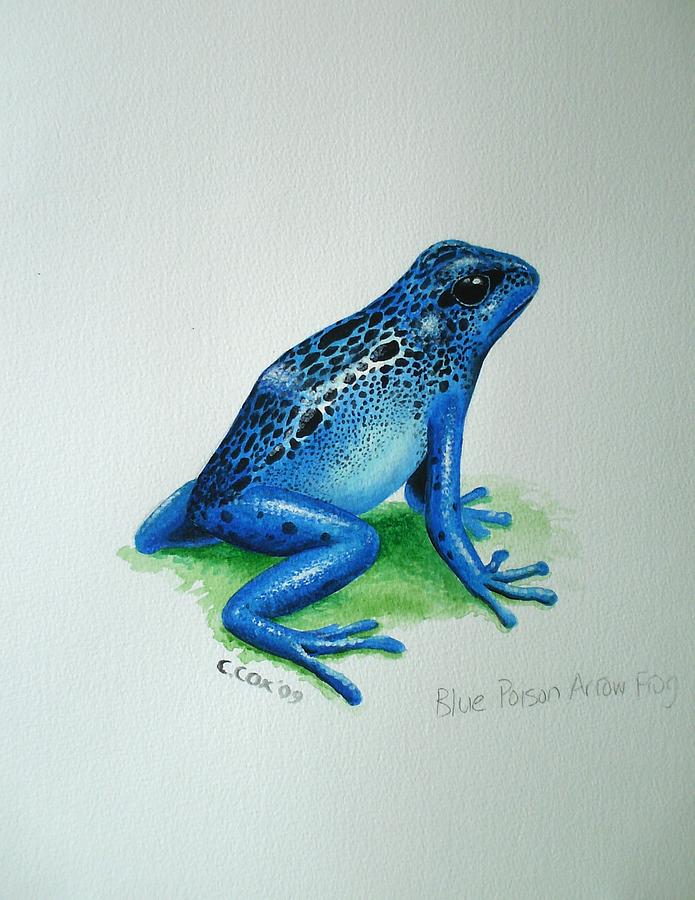 Blue Poison Arrow Frog Painting by Christopher Cox