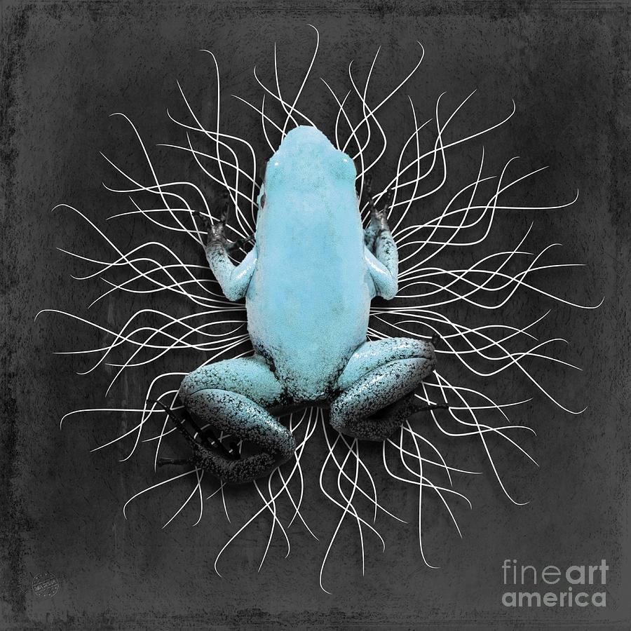 Blue Poison Dart Frog No 04 Digital Art by Mia Stedt