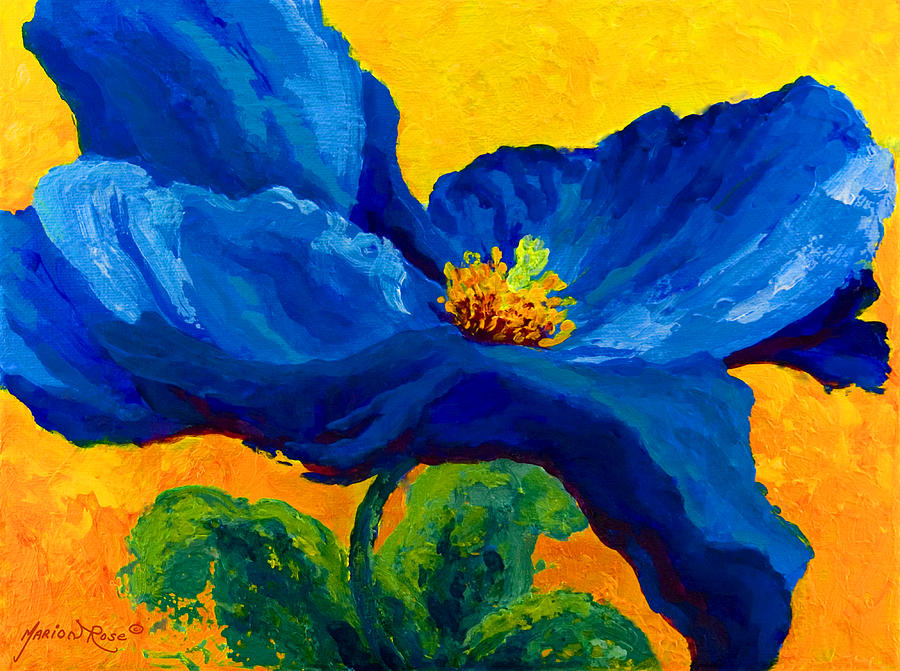Poppies Painting - Blue Poppy by Marion Rose