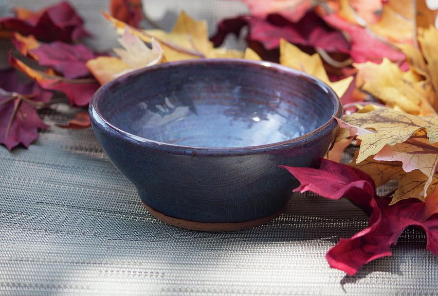 Blue Purple Bowl  Ceramic Art by Suzanne Gaff