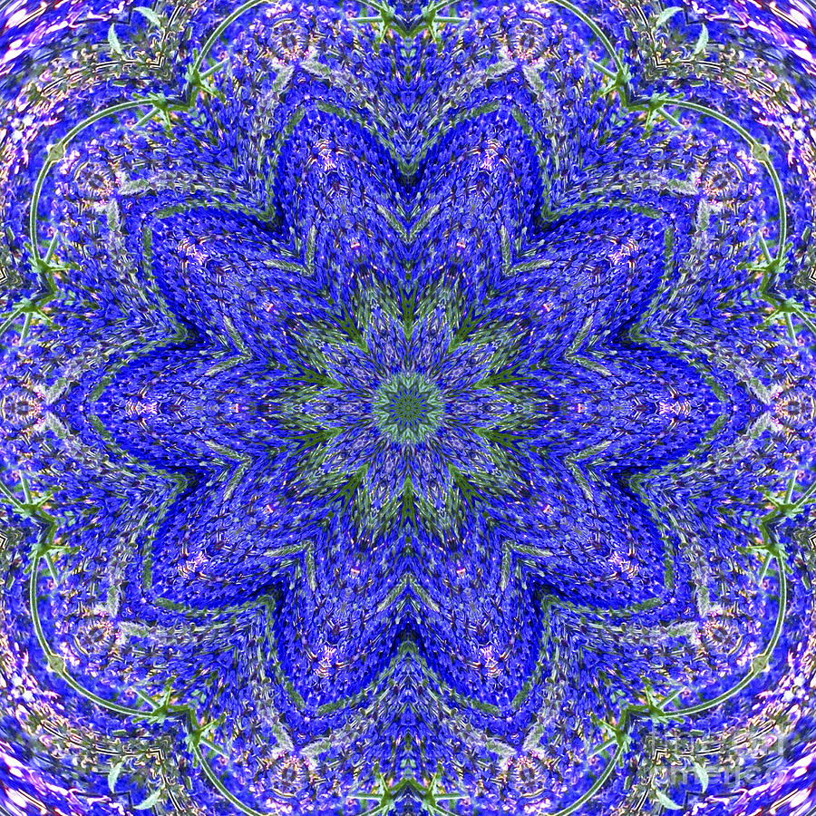 Blue Purple Lavender Floral Kaleidoscope WALL ART PRINT Photograph by Carol F Austin