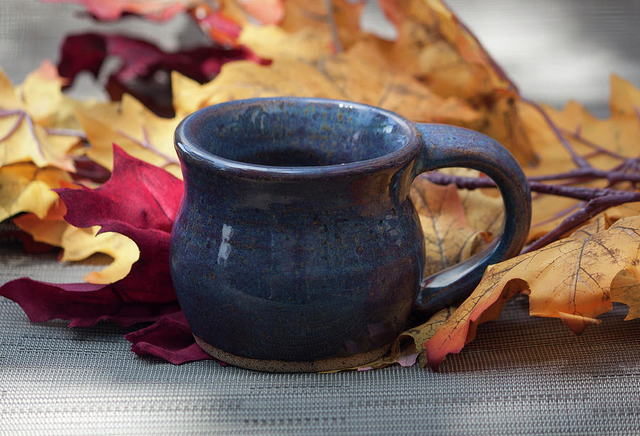 Blue Purple Mug Photograph by Suzanne Gaff