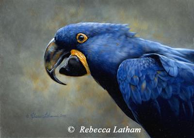 Hyacinth Painting - Blue by Rebecca Latham Hyacinth Painting - Blue by Rebecca Latham
