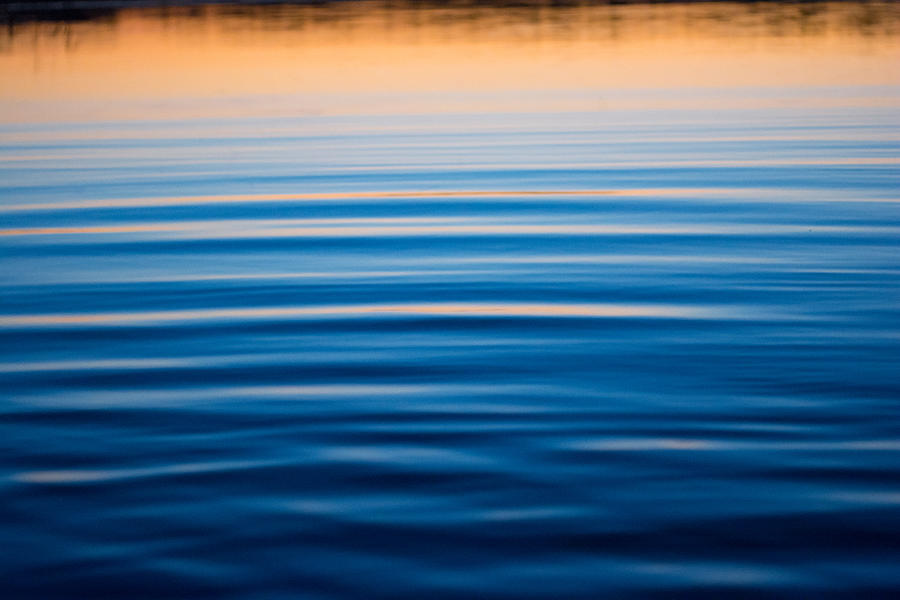 Blue Reflections Photograph by Parker Cunningham