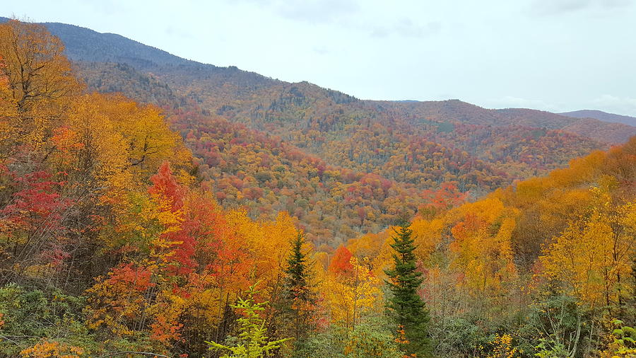 Blue Ridge Autumn Photograph by Brenda Stevens Fanning