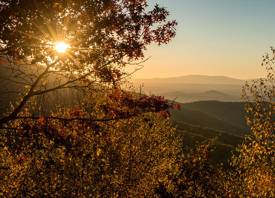 Shenandoah National Park Photograph - Blue Ridge Autumn by Matt Hammerstein