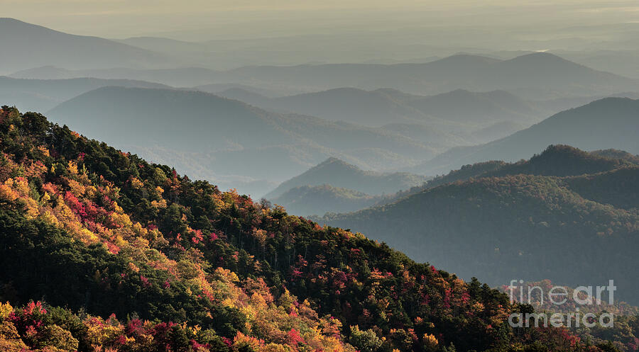 Nature Photograph - Blue Ridge Autumn by Nando Lardi