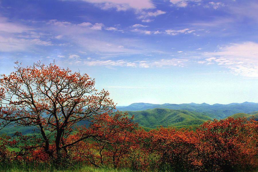 Nature Photograph - Blue Ridge Blessing by Jessica Brawley