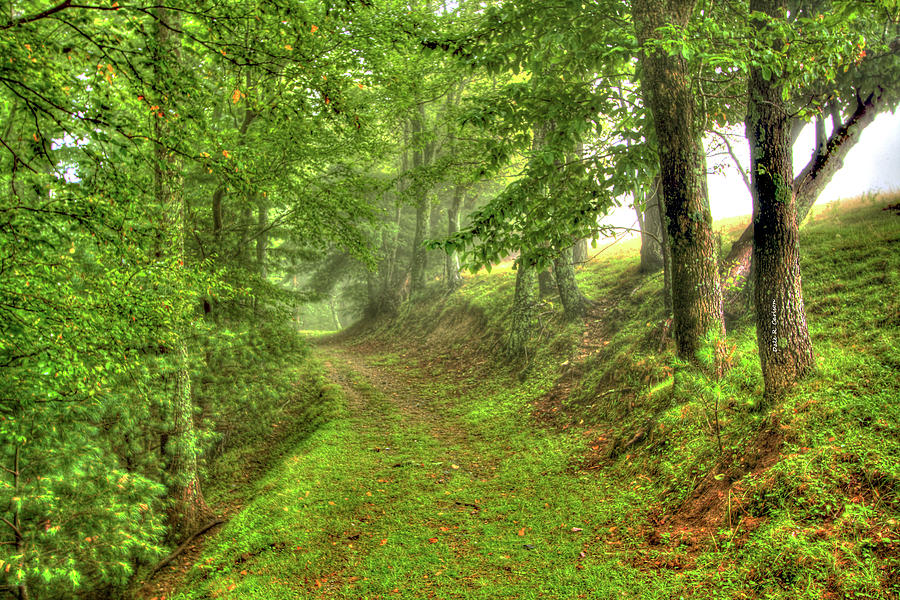 Blue Ridge Escape Photograph by Dale R Carlson