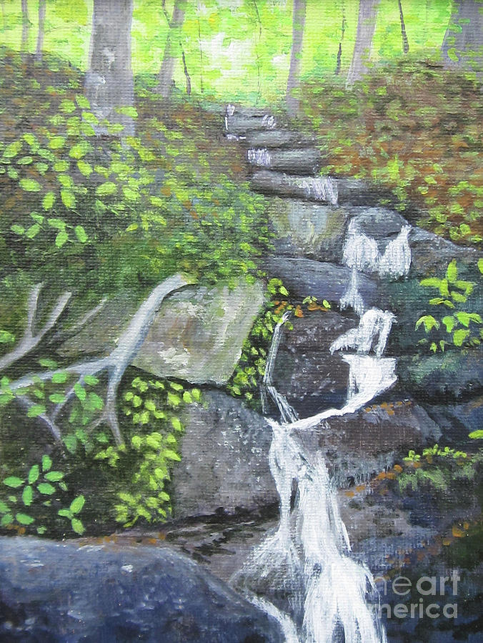 Blue Ridge Falls Painting by Anne Marie Brown