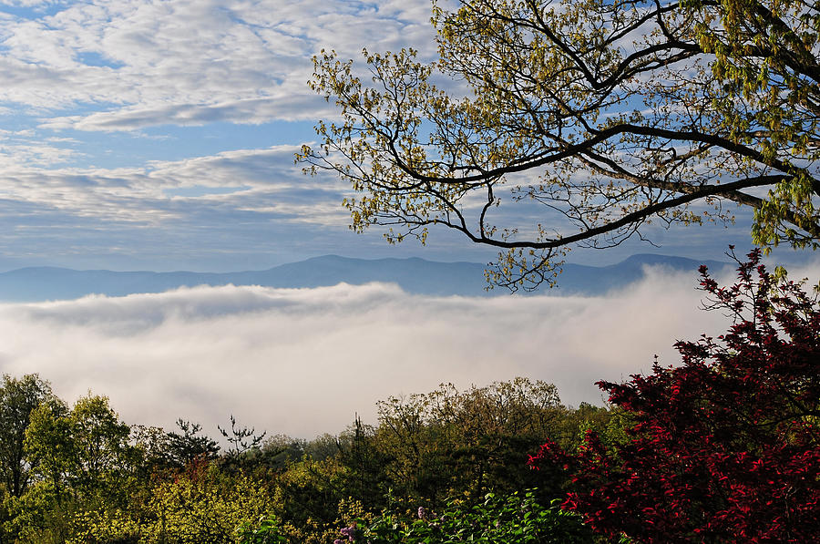 Blue Ridge In The Clouds Photograph by Lara Ellis