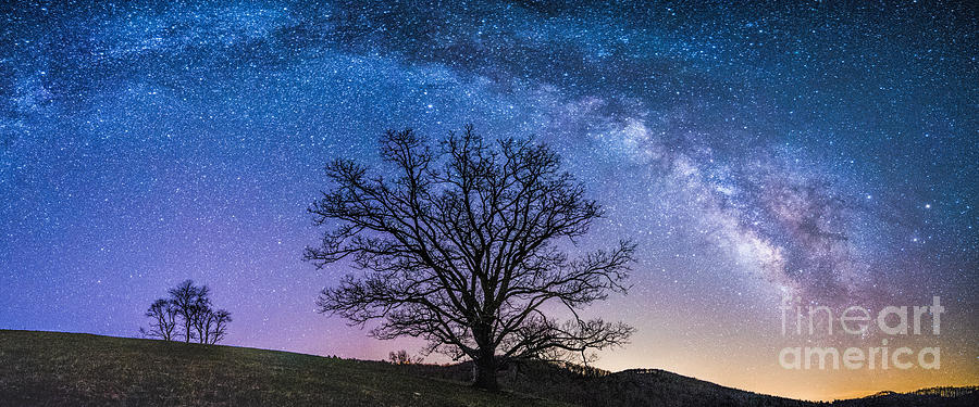 Blue Ridge Milkyway Photograph by Robert Loe