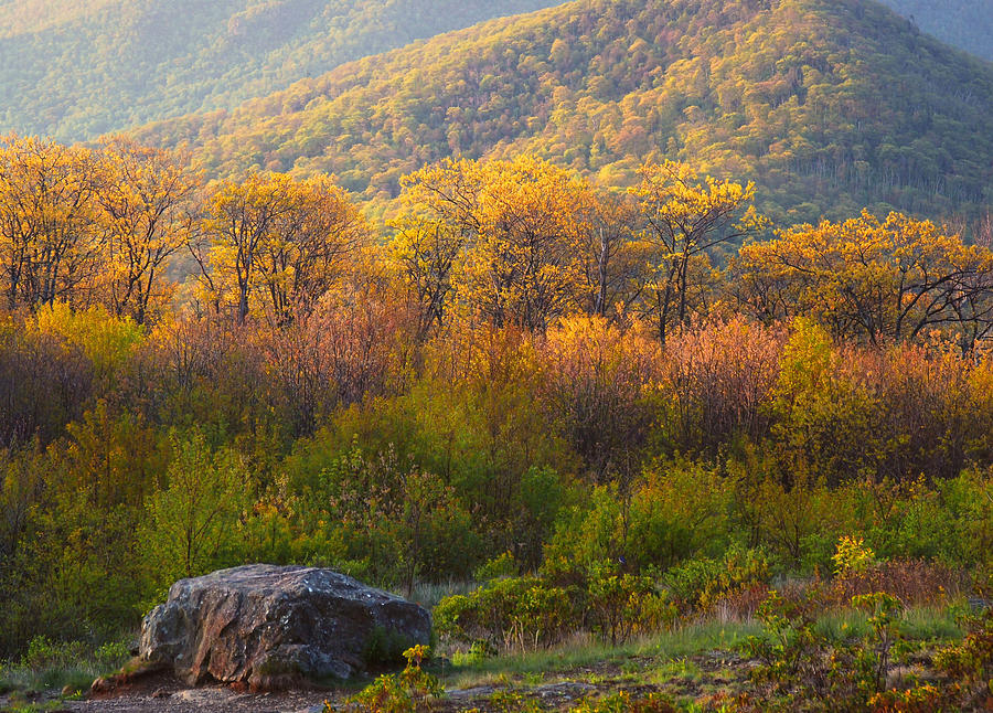 Blue Ridge Mountain Autumn Photograph by Stephen Vecchiotti