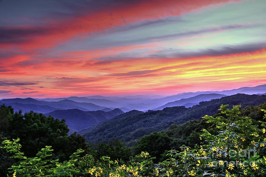 Blue Ridge Mountain Color Photograph by Carol Montoya