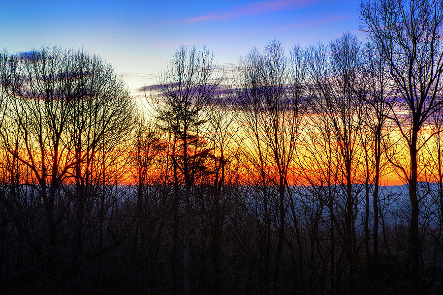 Blue Ridge Mountain Winter Trees at Sunrise Photograph by Dan Carmichael