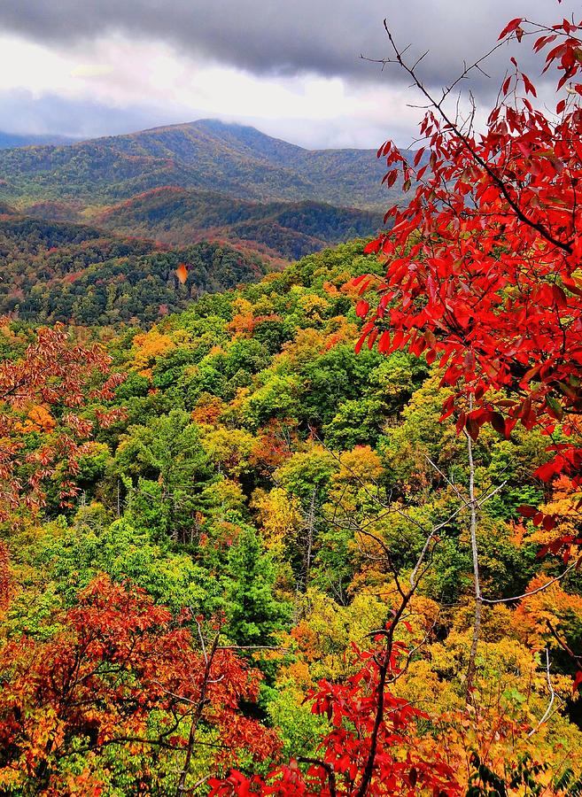 Blue Ridge Mountains Fall Color Photograph by Dan Sproul