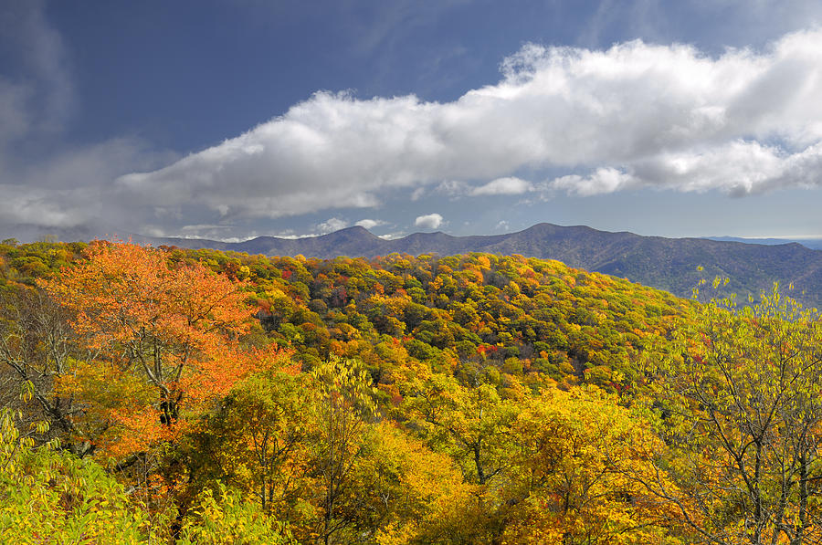 Blue Ridge Mountains in Autumn Color Photograph by Darrell Young