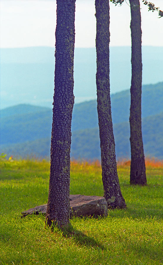 Blue Ridge Mountains of Virginia 2008 #1 Photograph by Frank Romeo