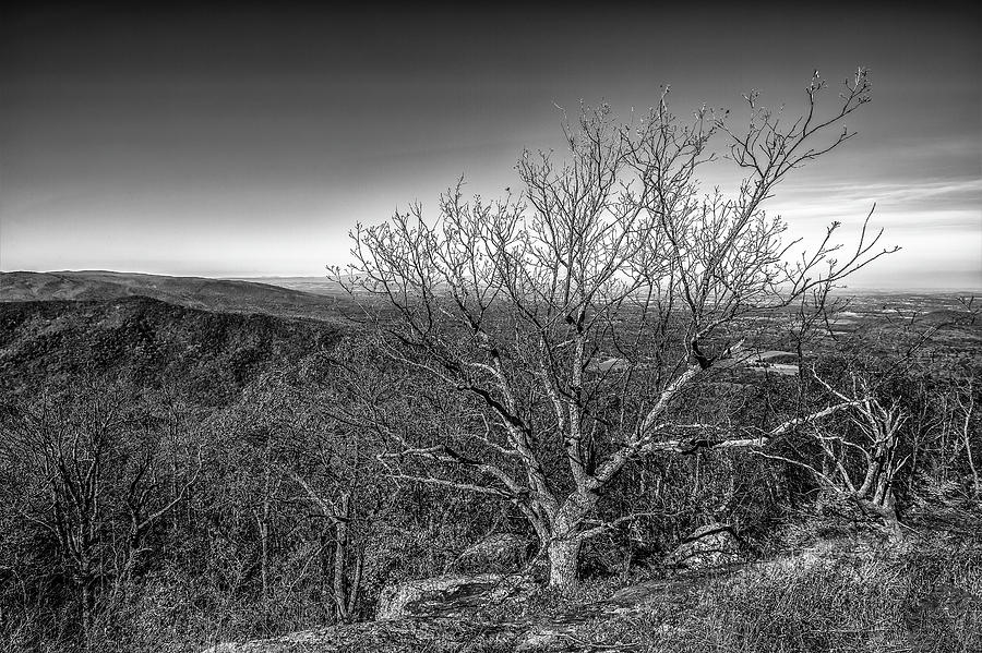 Landscape Photograph - Blue Ridge Mountains by Pete Federico Landscape Photograph - Blue Ridge Mountains by Pete Federico