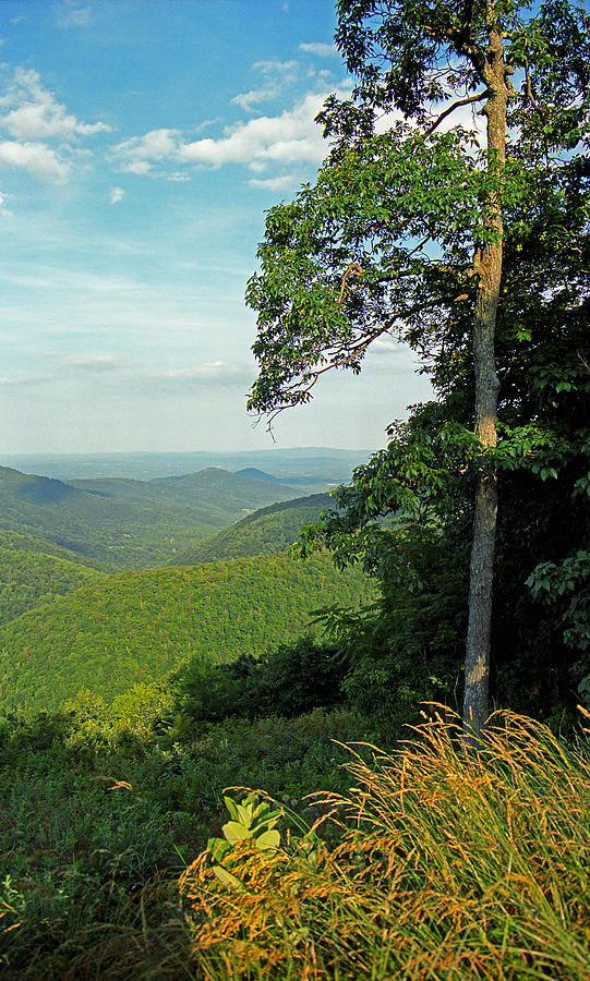 Mountain Photograph - Blue Ridge Mountains of Virginia 2008 #4 by Frank Romeo
