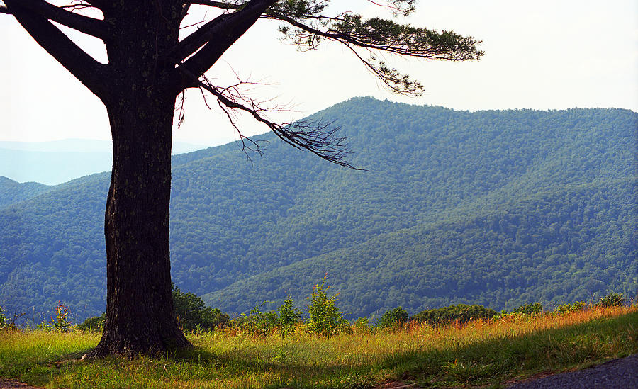 Mountain Photograph - Blue Ridge Mountains of Virginia 2008 #3 by Frank Romeo